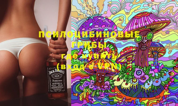 а пвп мука Абаза