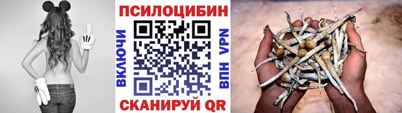 ОМГ ОМГ зеркало  Симферополь  Псилоцибиновые грибы мицелий  где найти наркотики 