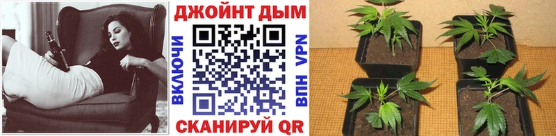 купить закладку  Симферополь  Конопля конопля 